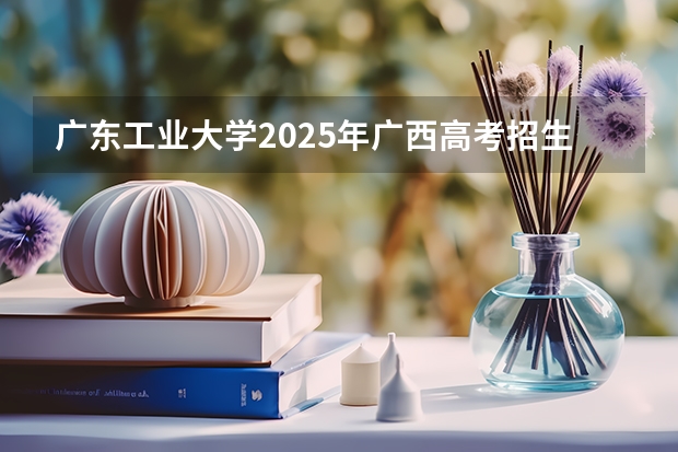 广东工业大学2025年广西高考招生计划预测