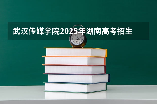 武汉传媒学院2025年湖南高考招生计划预测
