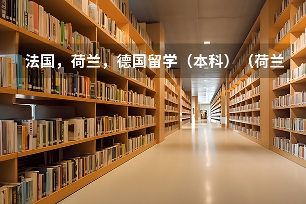 法国，荷兰，德国留学（本科）（荷兰大学录取分数线）