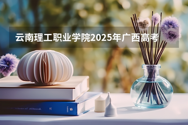云南理工职业学院2025年广西高考招生计划预测