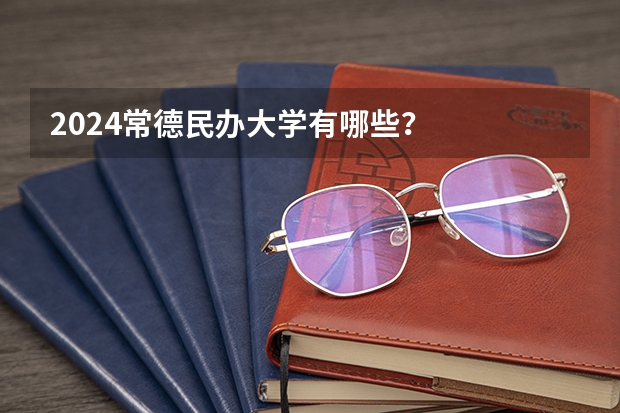 2024常德民办大学有哪些？