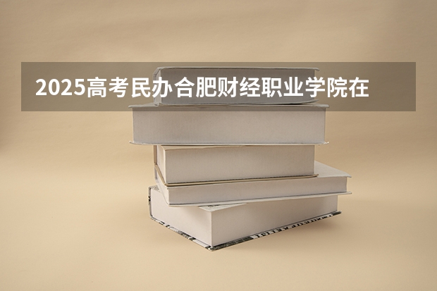 2025高考民办合肥财经职业学院在河北招生计划是什么（2026参考）