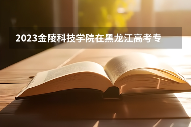 2023金陵科技学院在黑龙江高考专业招生计划人数