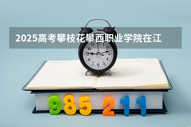 2025高考攀枝花攀西职业学院在江西招生计划是什么（2026参考）