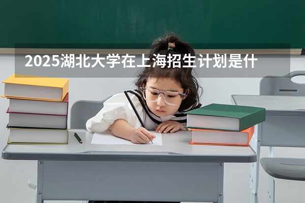 2025湖北大学在上海招生计划是什么（2026参考）