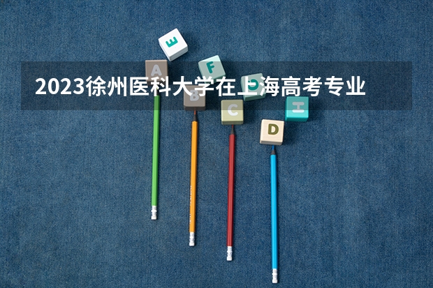 2023徐州医科大学在上海高考专业招生计划人数