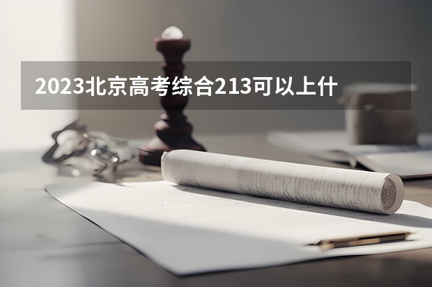 2023北京高考综合213可以上什么大学