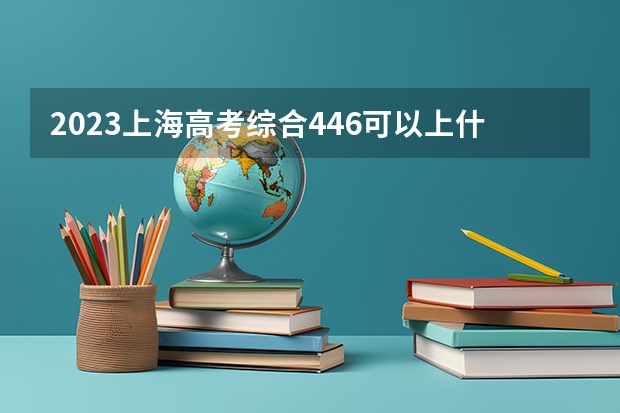 2023上海高考综合446可以上什么大学