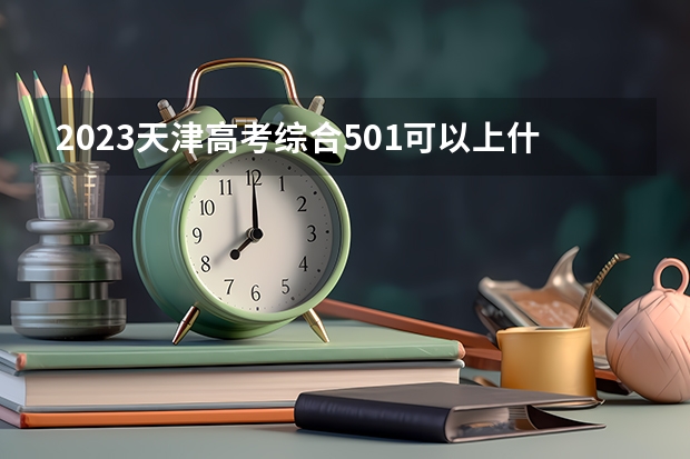 2023天津高考综合501可以上什么大学