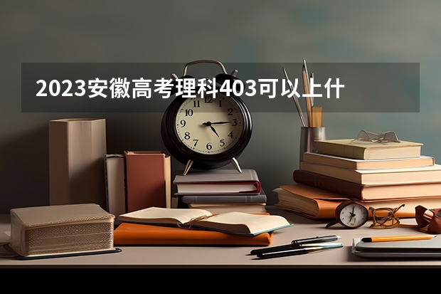 2023安徽高考理科403可以上什么大学