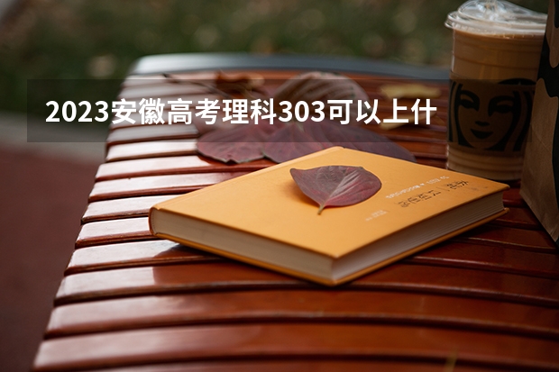 2023安徽高考理科303可以上什么大学