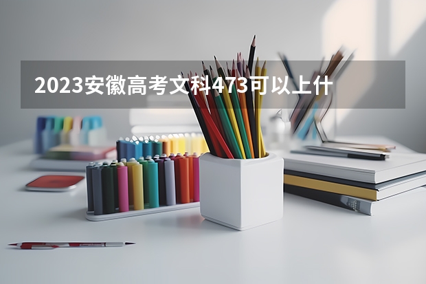 2023安徽高考文科473可以上什么大学