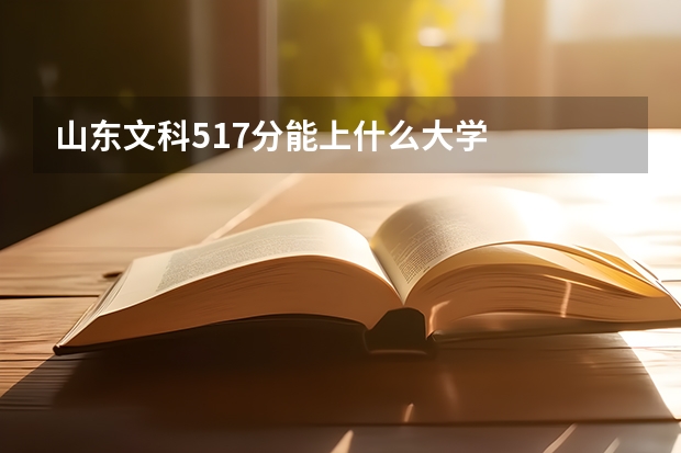 山东文科517分能上什么大学