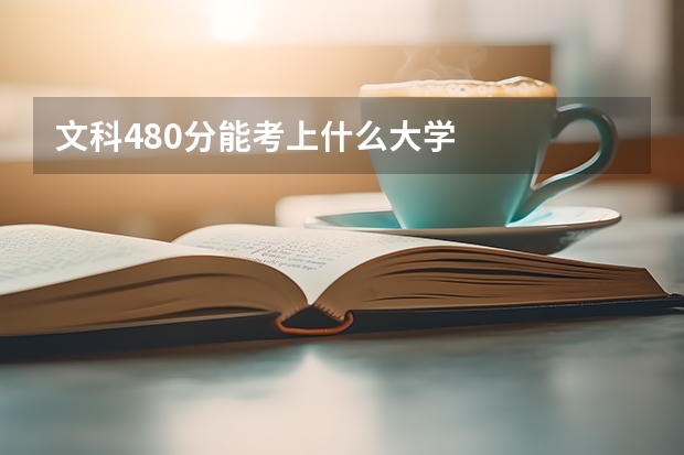 文科480分能考上什么大学