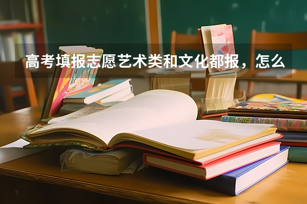 高考填报志愿艺术类和文化都报，怎么录取