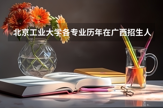 北京工业大学各专业历年在广西招生人数