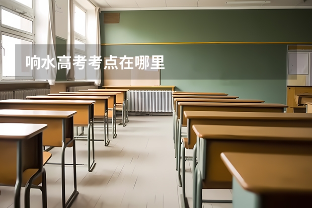 响水高考考点在哪里