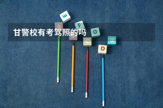 甘警校有考驾照的吗