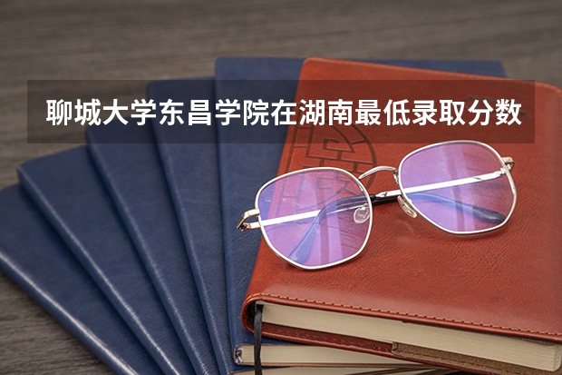 聊城大学东昌学院在湖南最低录取分数线（2024高考参考）