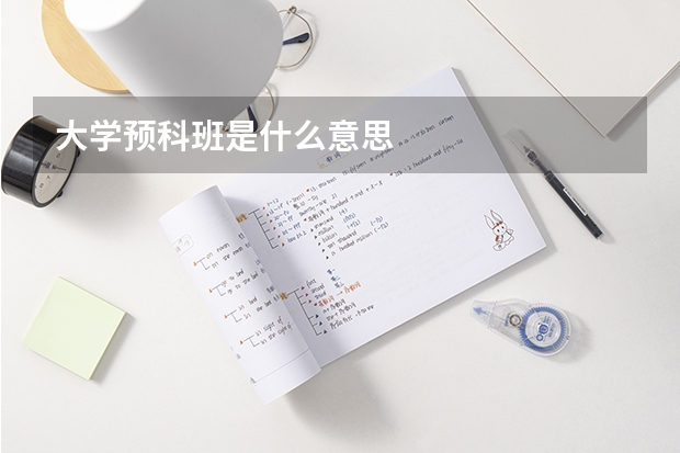 大学预科班是什么意思