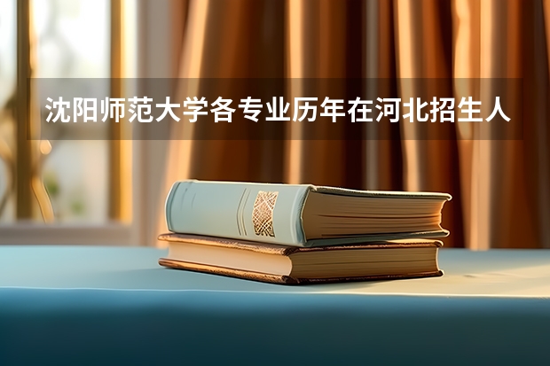 沈阳师范大学各专业历年在河北招生人数