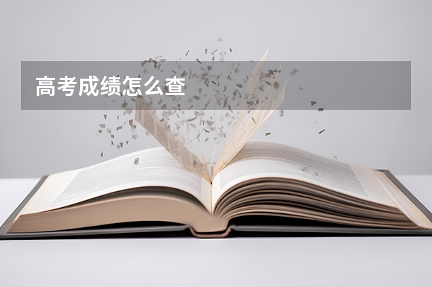 高考成绩怎么查