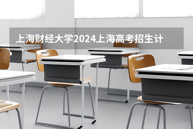 上海财经大学2024上海高考招生计划详解