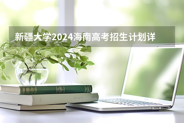 新疆大学2024海南高考招生计划详解