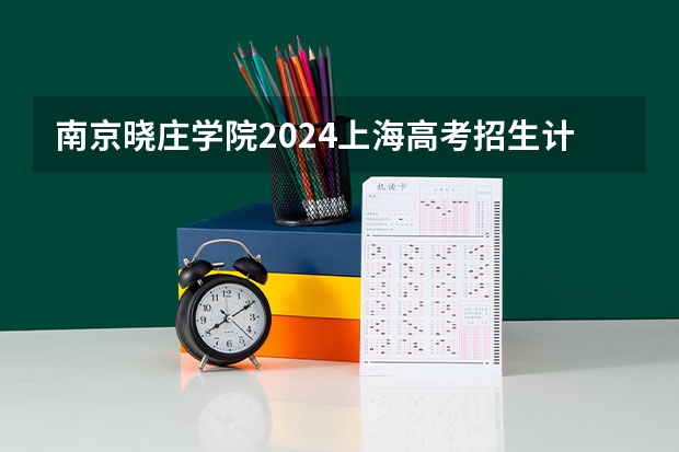 南京晓庄学院2024上海高考招生计划详解