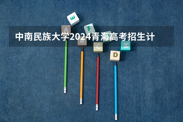 中南民族大学2024青海高考招生计划详解