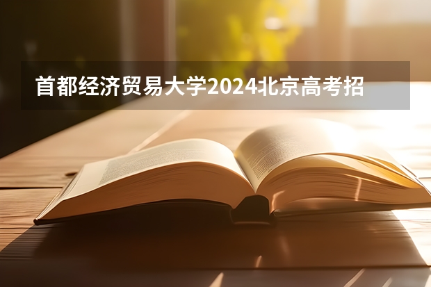 首都经济贸易大学2024北京高考招生计划详解