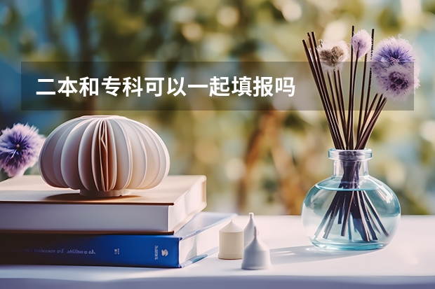 二本和专科可以一起填报吗