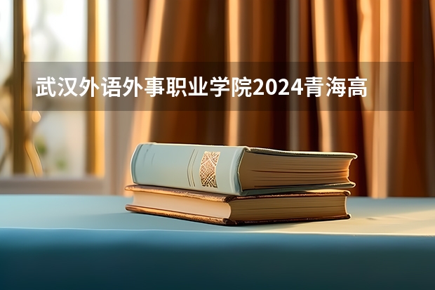 武汉外语外事职业学院2024青海高考招生计划详解