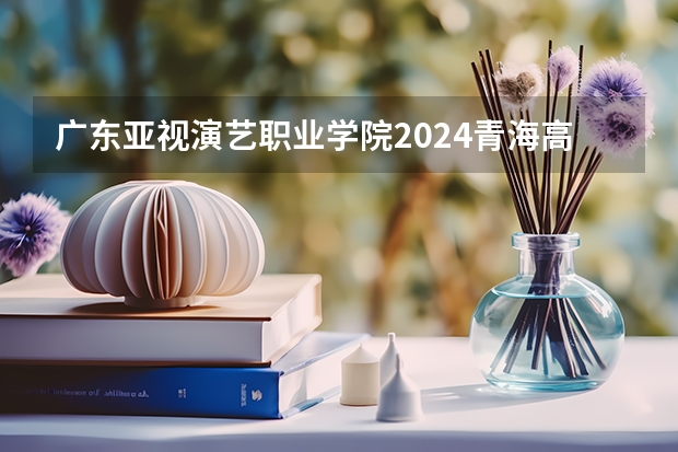 广东亚视演艺职业学院2024青海高考招生计划详解