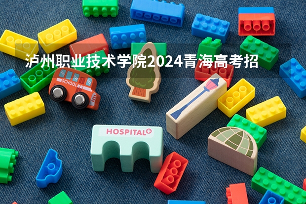 泸州职业技术学院2024青海高考招生计划详解