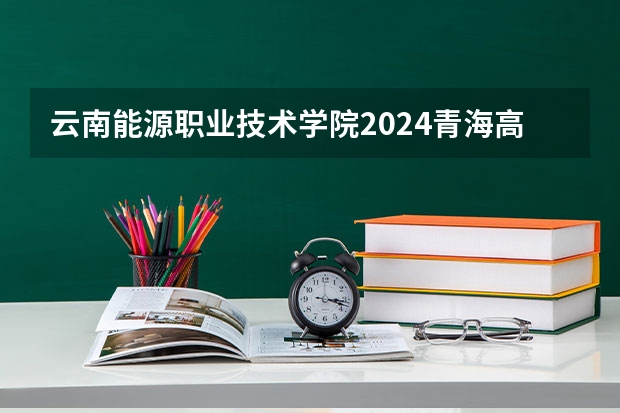 云南能源职业技术学院2024青海高考招生计划详解
