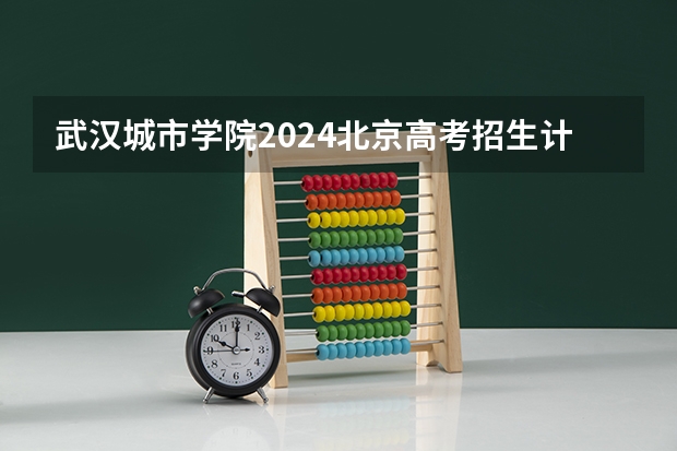 武汉城市学院2024北京高考招生计划详解