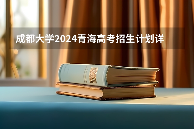 成都大学2024青海高考招生计划详解