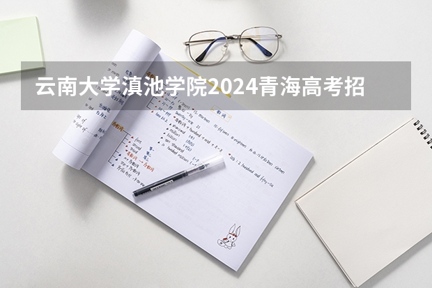 云南大学滇池学院2024青海高考招生计划详解