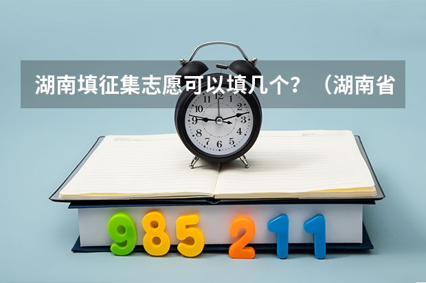 湖南填征集志愿可以填几个？（湖南省本科提前批可以填几个志愿）