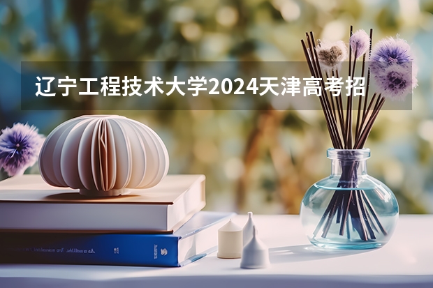 辽宁工程技术大学2024天津高考招生计划详解