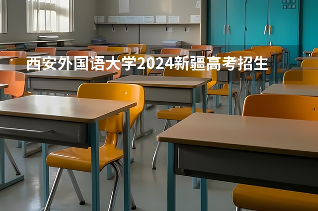 西安外国语大学2024新疆高考招生计划详解