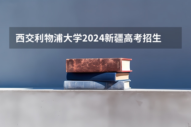 西交利物浦大学2024新疆高考招生计划详解