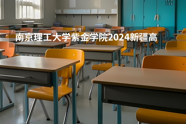 南京理工大学紫金学院2024新疆高考招生计划详解