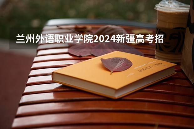 兰州外语职业学院2024新疆高考招生计划详解
