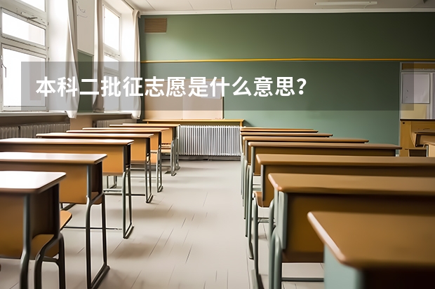 本科二批征志愿是什么意思？