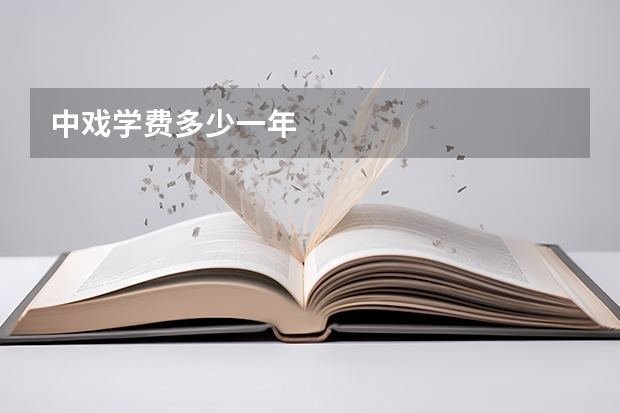 中戏学费多少一年