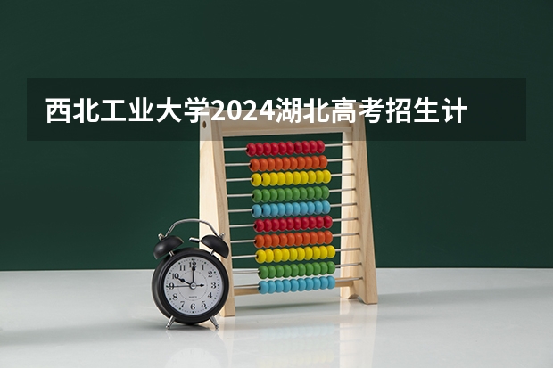 西北工业大学2024湖北高考招生计划详解