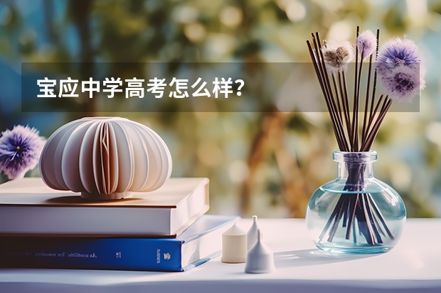 宝应中学高考怎么样？