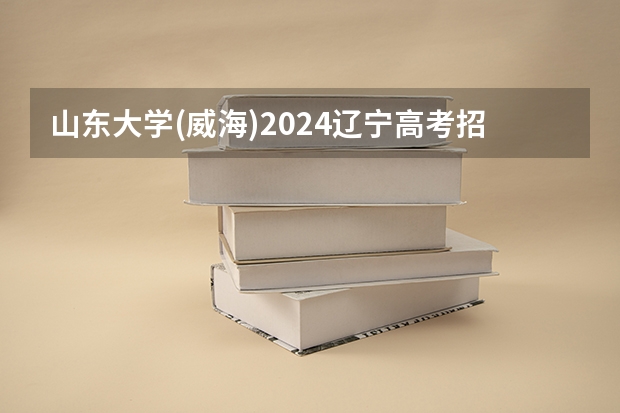山东大学(威海)2024辽宁高考招生计划详解